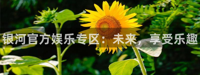 澳客旧版2023最新版：银河官方娱乐专区：未来，享受乐趣