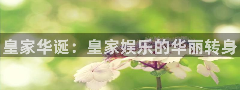 okooo澳客网官网入口：皇家华诞：皇家娱乐的华丽转身