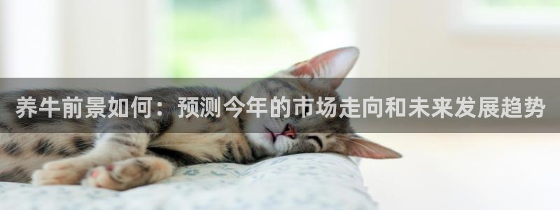 澳客足球比分即时比分：养牛前景如何：预测今年的市场走向和未来发展趋势