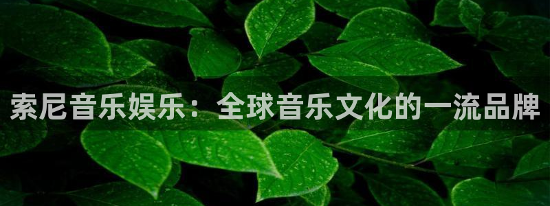 澳客下载安装手机版：索尼音乐娱乐：全球音乐文化的一流品牌