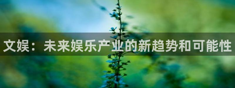澳客官网旧版：文娱：未来娱乐产业的新趋势和可能性