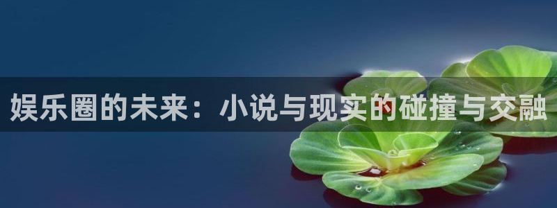 足球比赛查询结果澳客：娱乐圈的未来：小说与现实的碰撞与交融