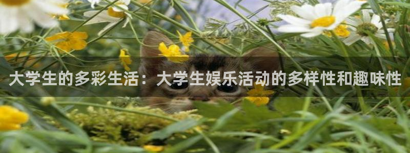 胜负14场澳客官网：大学生的多彩生活：大学生娱乐活动的多样性和趣味性