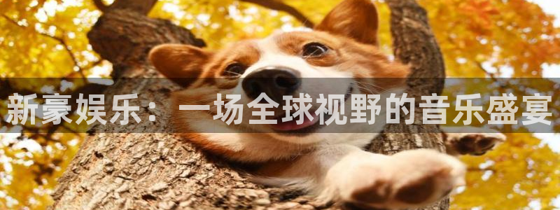澳客网ok：新豪娱乐：一场全球视野的音乐盛宴