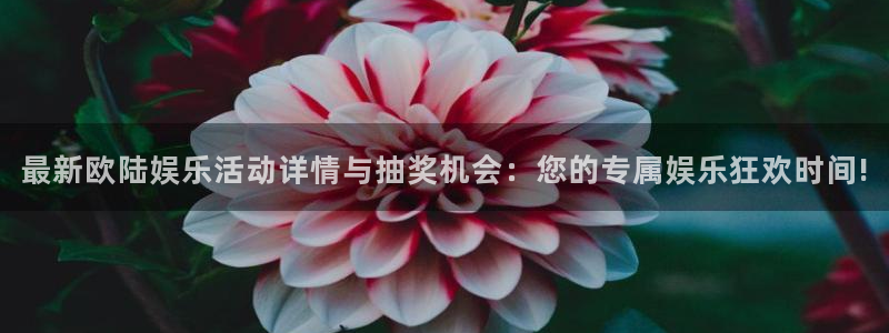 okooo澳客官网电脑版：最新欧陆娱乐活动详情与抽奖机会：您的专属娱乐狂欢时间!