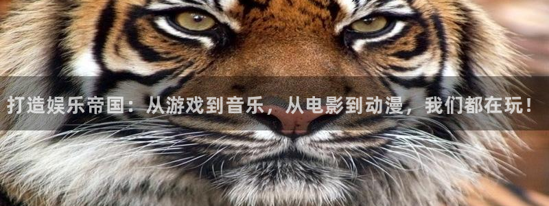 澳客网官方：打造娱乐帝国：从游戏到音乐，从电影到动漫，我们都在玩！