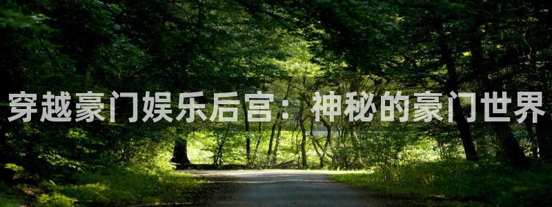 澳客官网网页版登录：穿越豪门娱乐后宫：神秘的豪门世界
