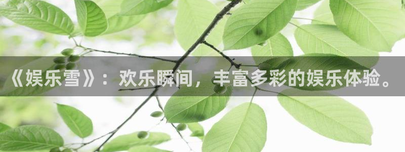 澳客比分即时比分购彩：《娱乐雪》：欢乐瞬间，丰富多彩的娱乐体验。