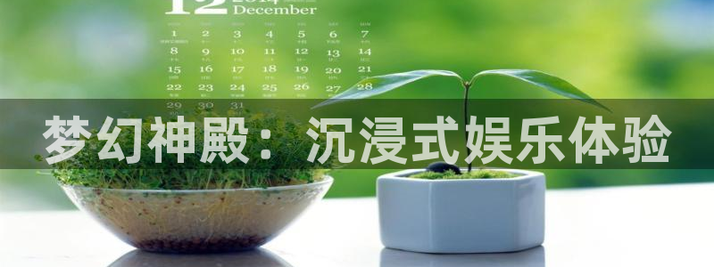 澳客足球官方网站查询：梦幻神殿：沉浸式娱乐体验