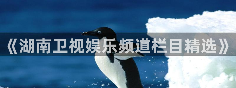 澳客推单：《湖南卫视娱乐频道栏目精选》