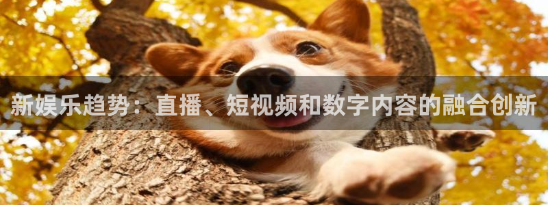 澳客彩网澳客彩网官网：新娱乐趋势：直播、短视频和数字内容的融合创新