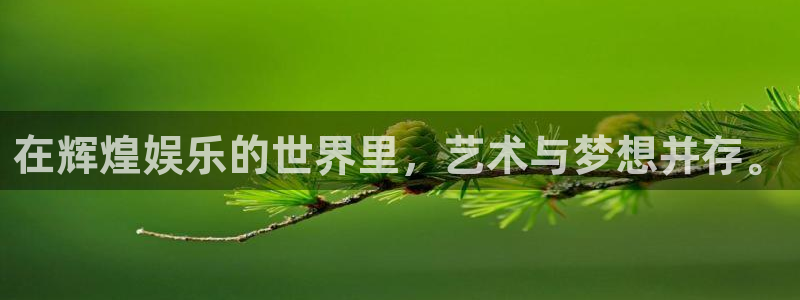 澳客网足球比分：在辉煌娱乐的世界里，艺术与梦想并存。