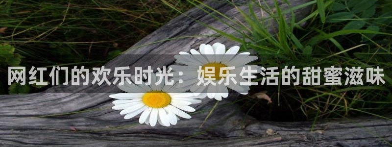 澳客app最新版下载安装：网红们的欢乐时光：娱乐生活的甜蜜滋味