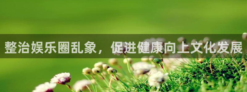 澳客app下载中心：整治娱乐圈乱象，促进健康向上文化发展