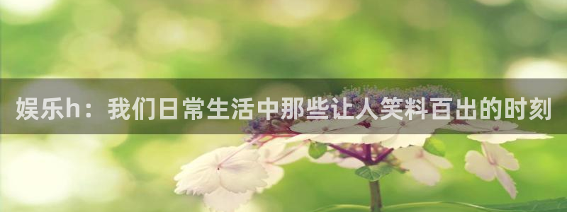 澳客手机下载：娱乐h：我们日常生活中那些让人笑料百出的时刻