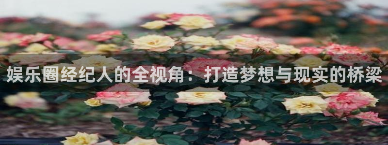 okooo澳客手机版下载：娱乐圈经纪人的全视角：打造梦想与现实的桥梁