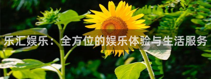 澳客网官网即时比分：乐汇娱乐：全方位的娱乐体验与生活服务