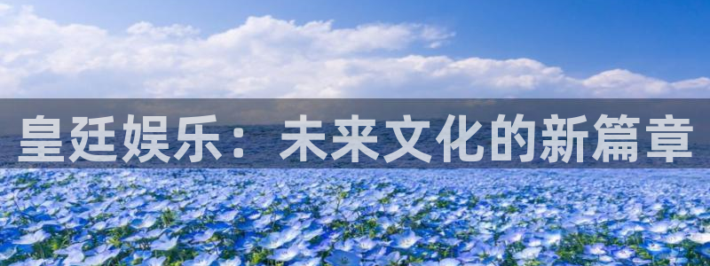 足球比分澳客：皇廷娱乐：未来文化的新篇章