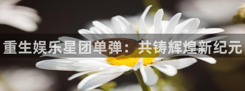 澳客旧版下载安装：重生娱乐星团单弹：共铸辉煌新纪元