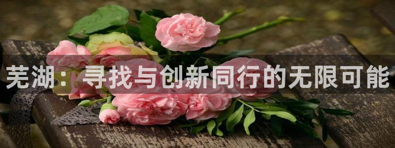 澳客网体育数据：芜湖：寻找与创新同行的无限可能