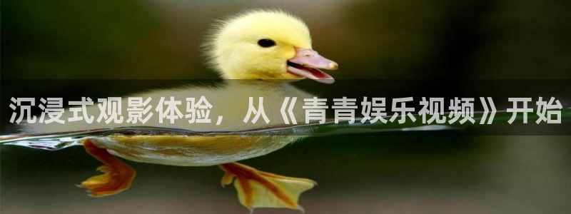 澳客比分直播即时比分完整版：沉浸式观影体验，从《青青娱乐视频》开始