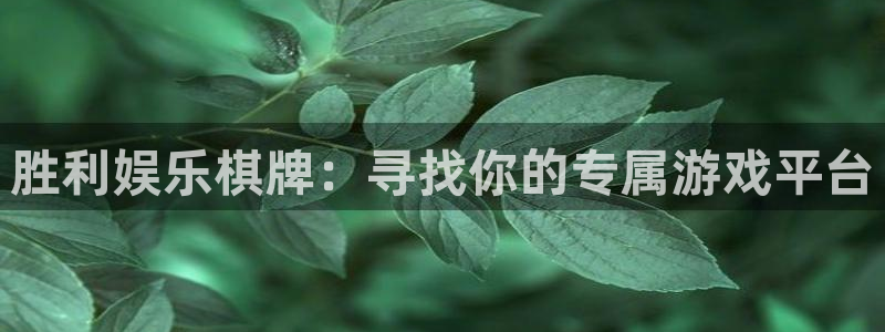 澳客 app：胜利娱乐棋牌：寻找你的专属游戏平台